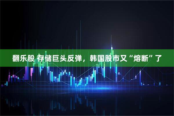 翻乐股 存储巨头反弹，韩国股市又“熔断”了
